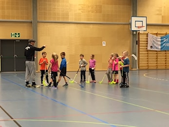 Innebandy i allidretten